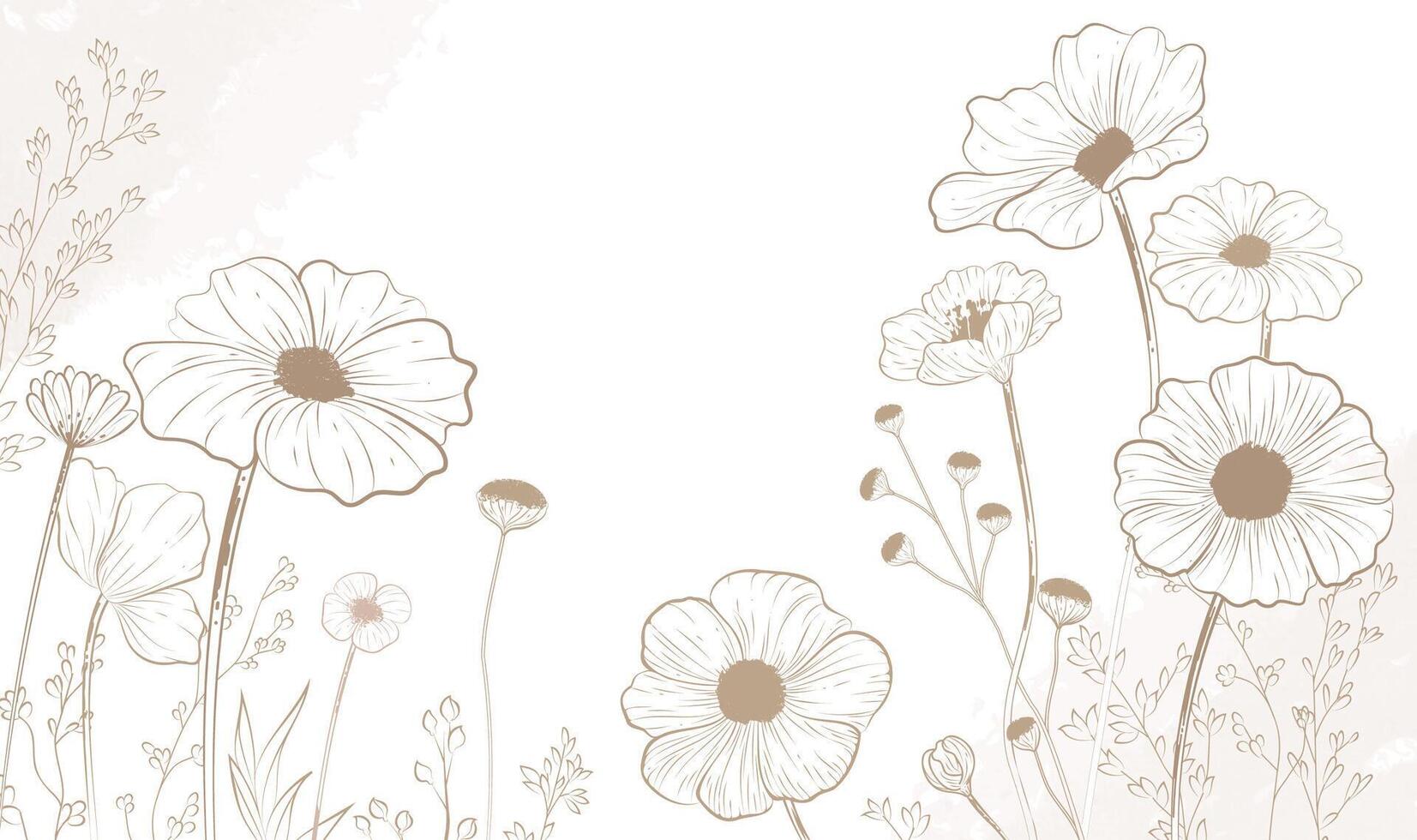 Hand painted linear illustration of a meadow wildflower on a light background vector