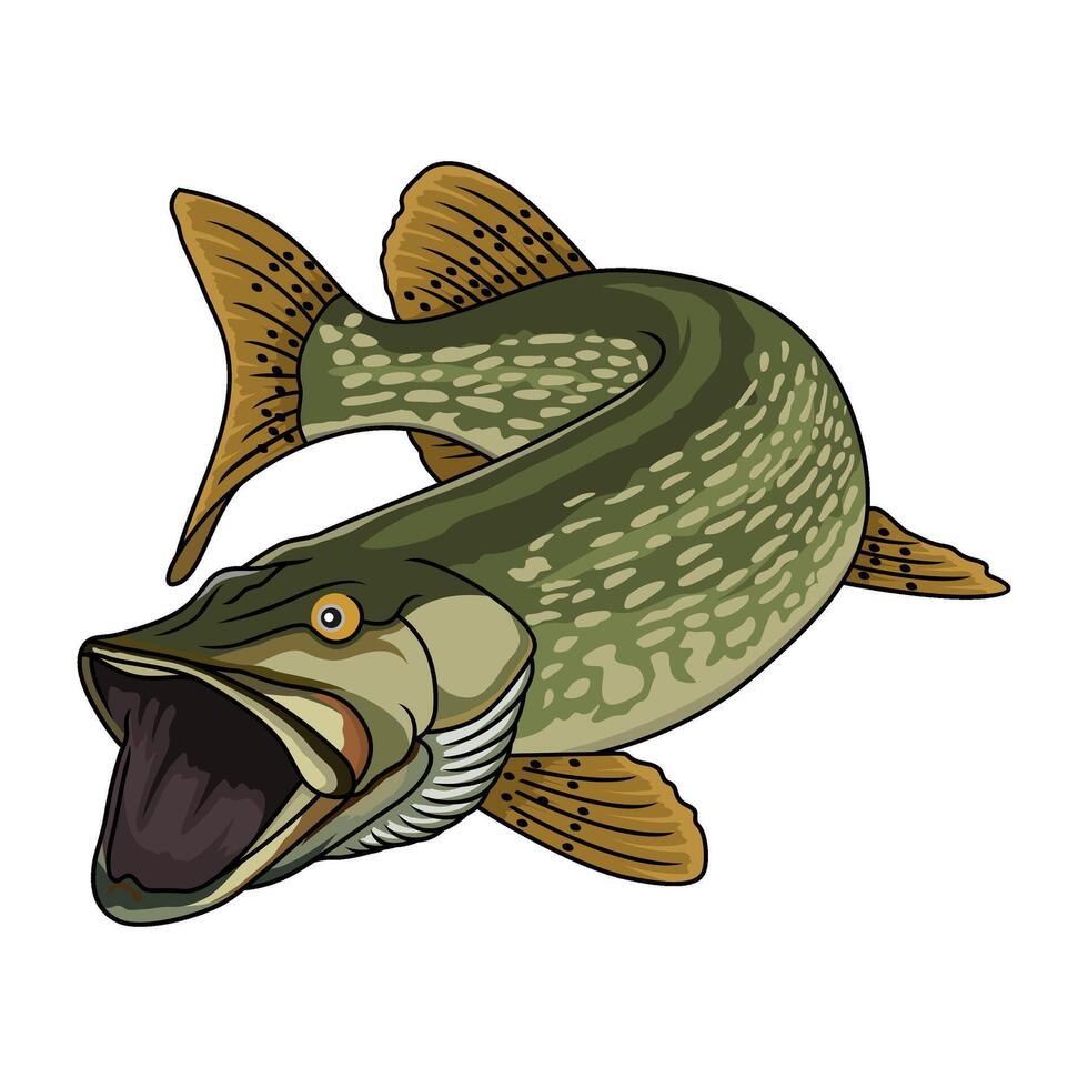 pike fishing illustration logo image template vector