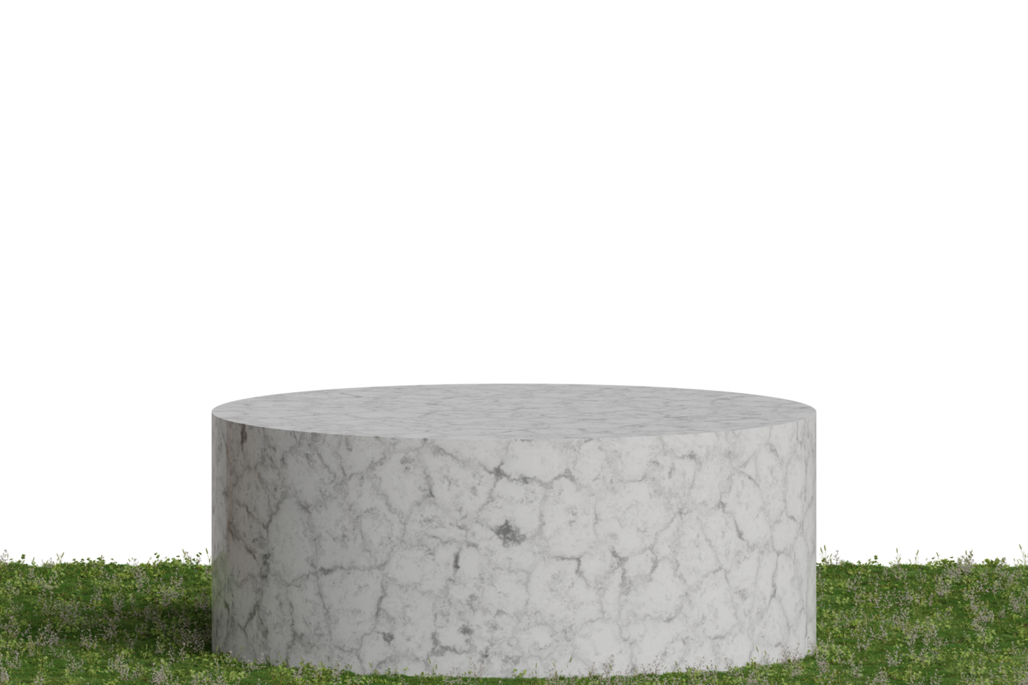 3d rendering image of product display on grass png