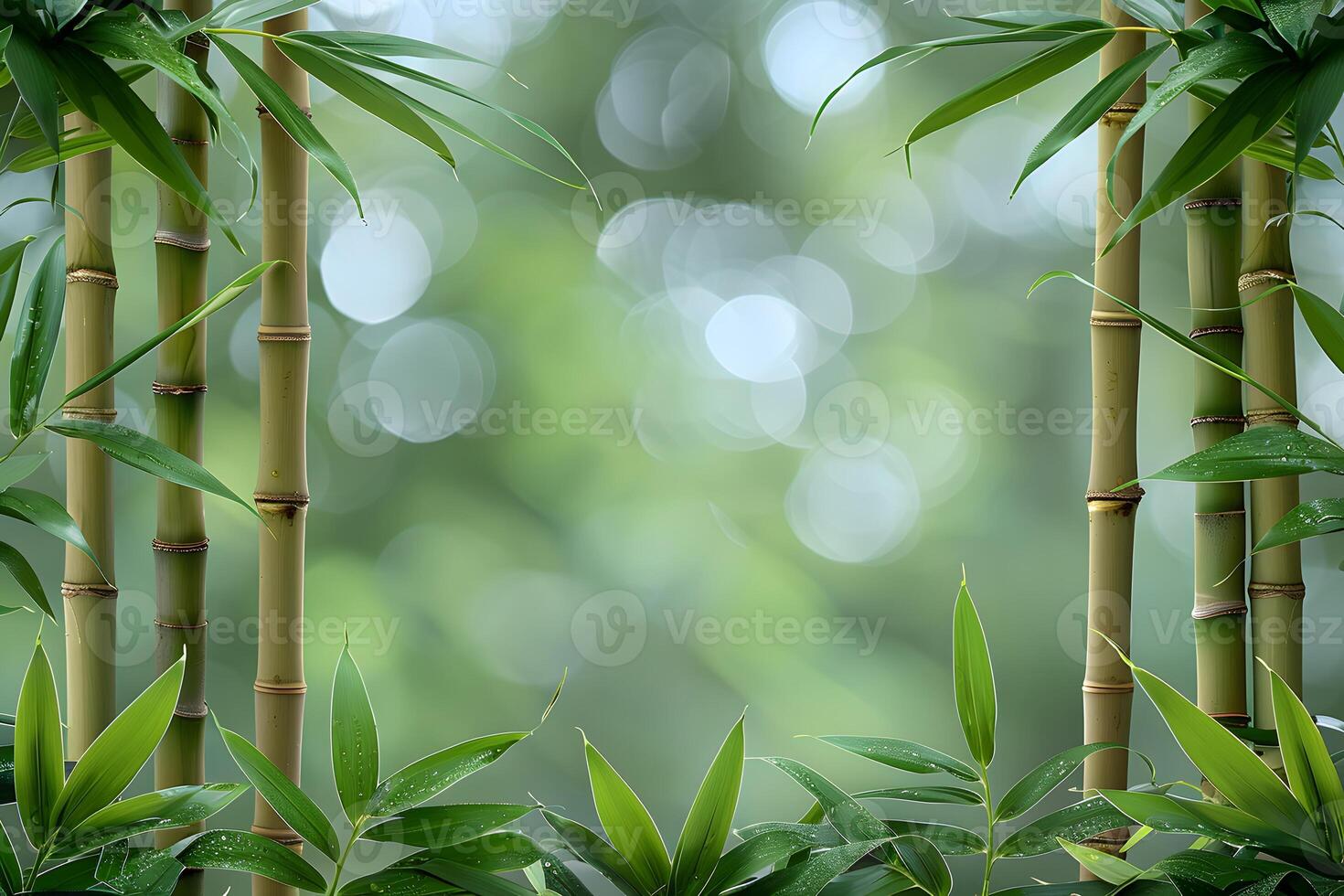 Serene Bamboo Forest Background - Nature Scene Perfect for Posters, Cards, and Eco-Friendly Designs photo