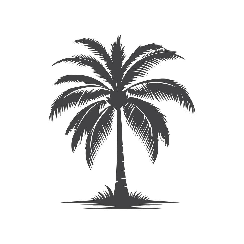 palm tree silhouette vector