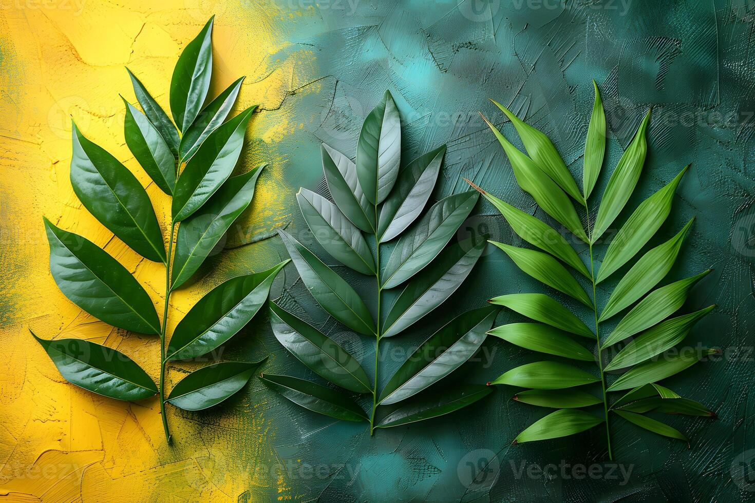 Tropical Leaves on Colorful Textured Background - Nature Concept for Botanicals, Print, Poster Design photo