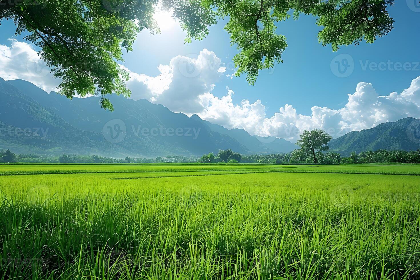Verdant Rice Fields Against Majestic Mountain Backdrop Under Clear Sky - Ideal for Nature, Travel, and Landscape Designs photo