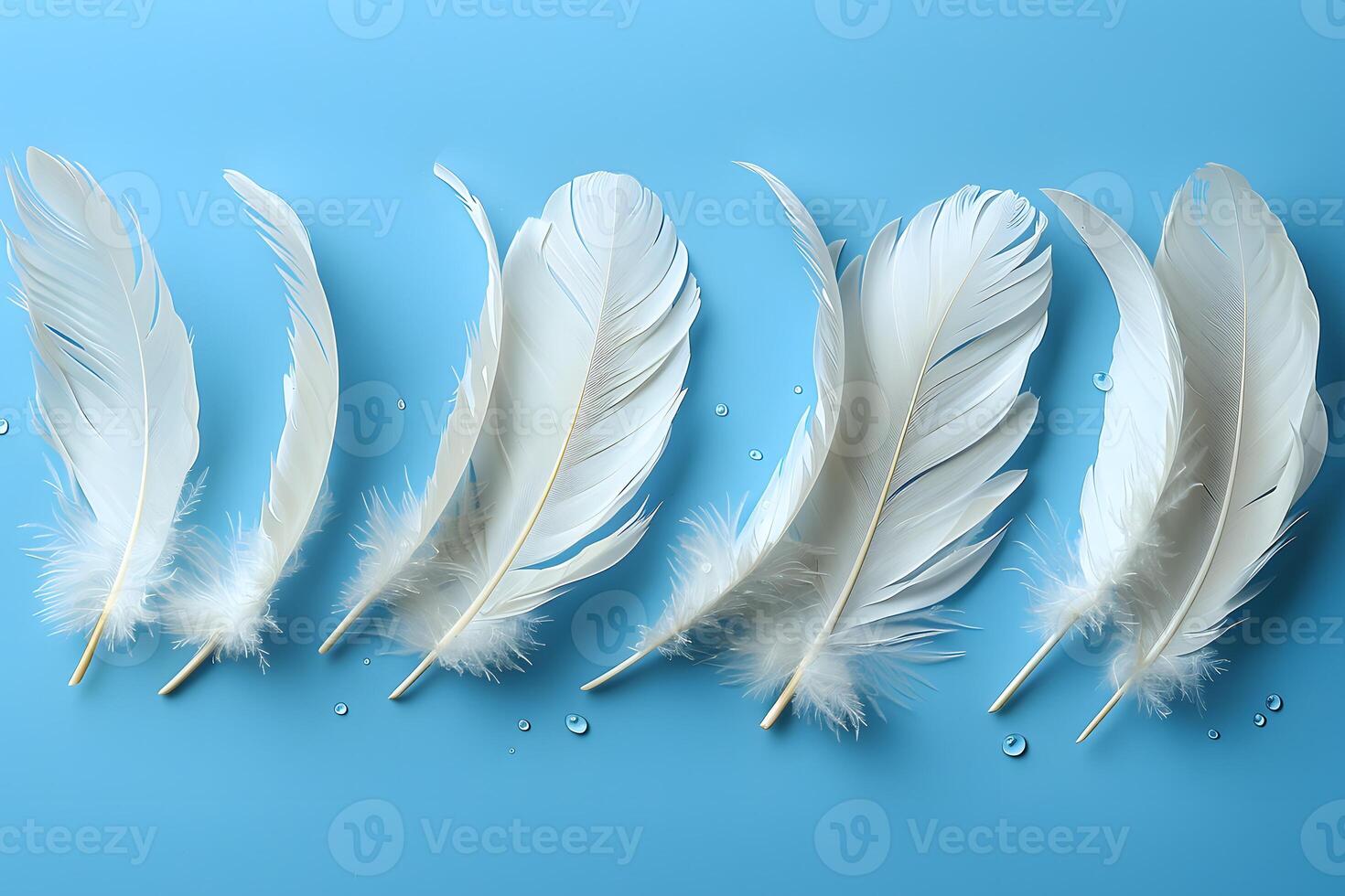 White Feather Arrangement on Blue Background with Dew Drops - Nature, Tranquility, Design for Print, Poster photo