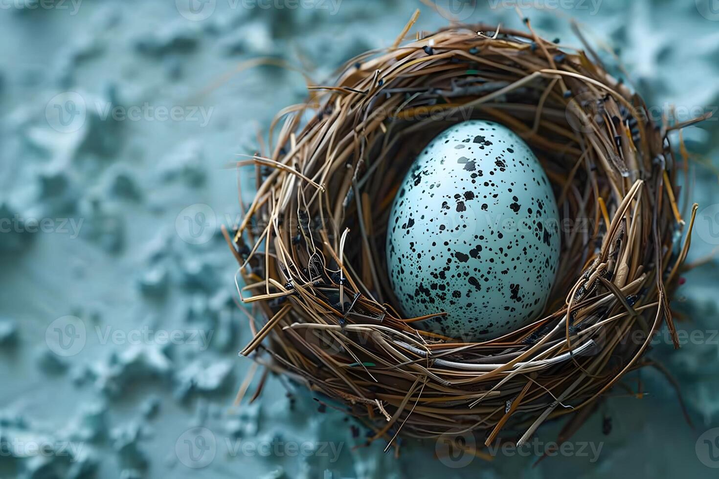 Easter Nest with Speckled Egg - Spring Decoration, Nature Photography, Rustic Background photo