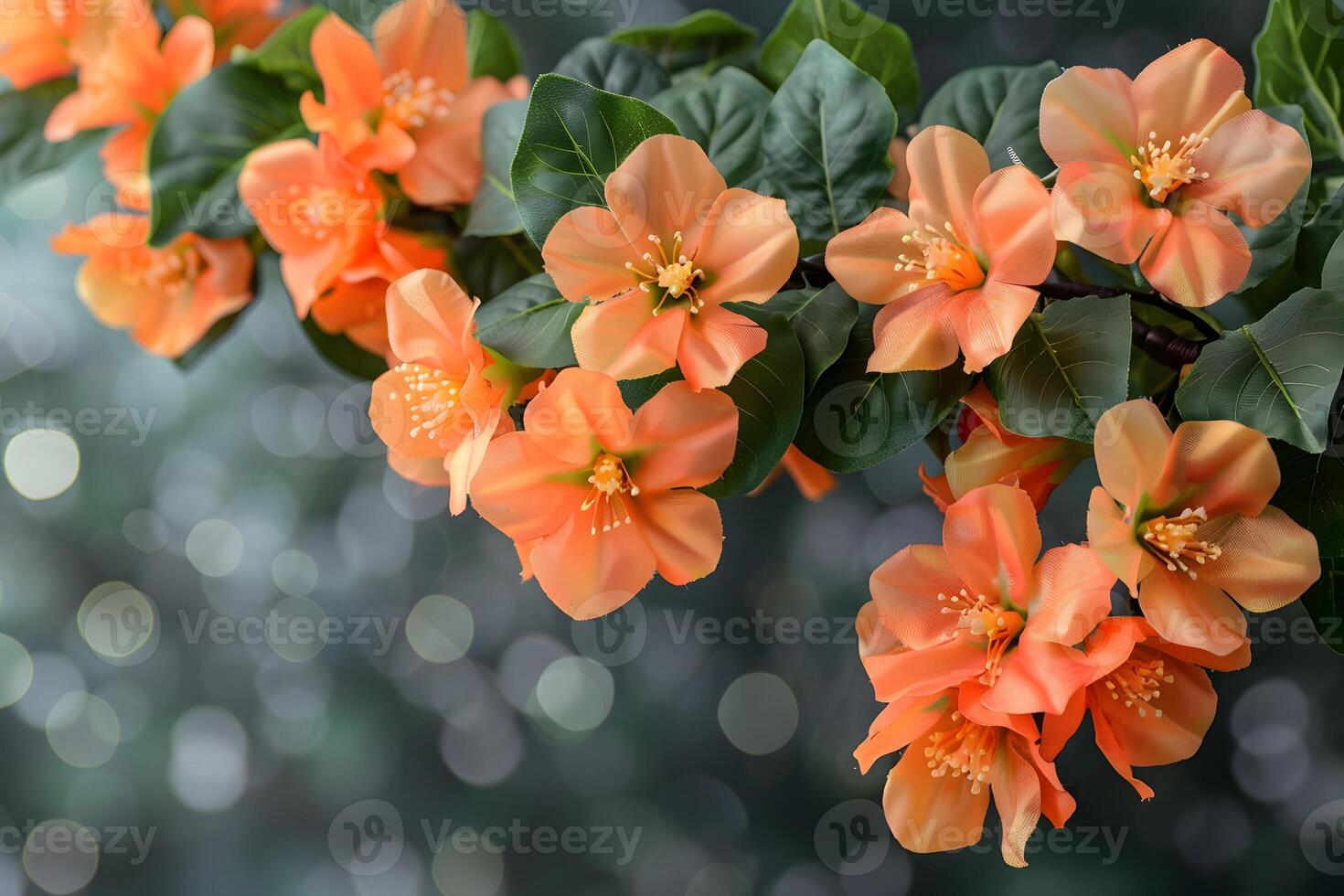 Vibrant Orange Flowers in Bloom Against Green Leaves and Soft Bokeh Background - Nature Photography for Print, Card, Poster photo
