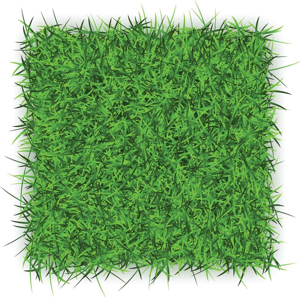 a green grass background. vector