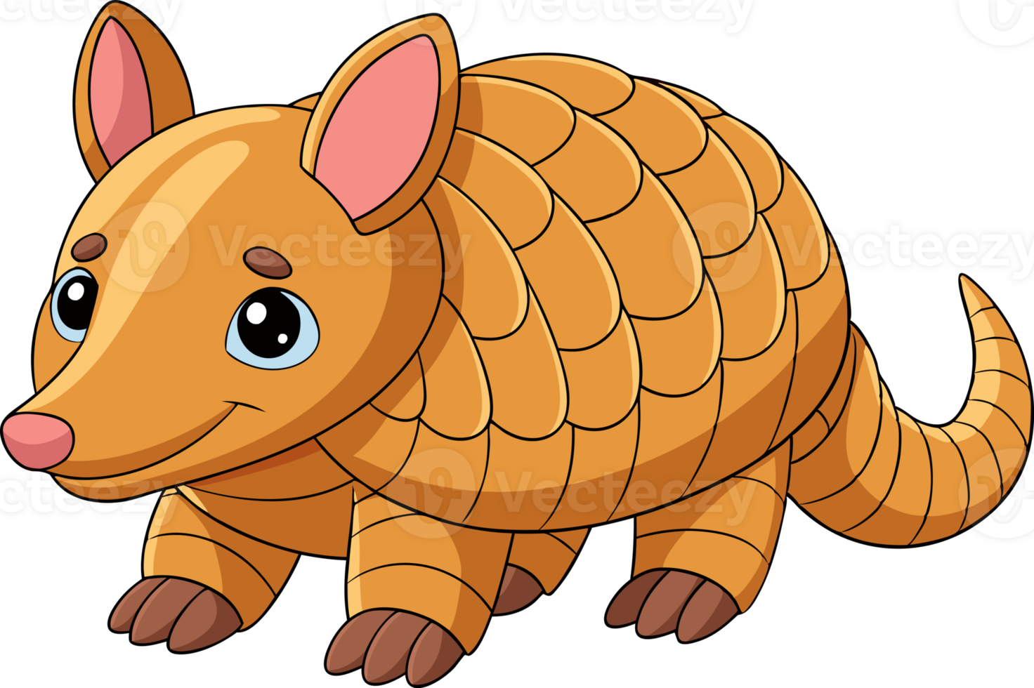Armadillo Cartoon Transplant Image free png