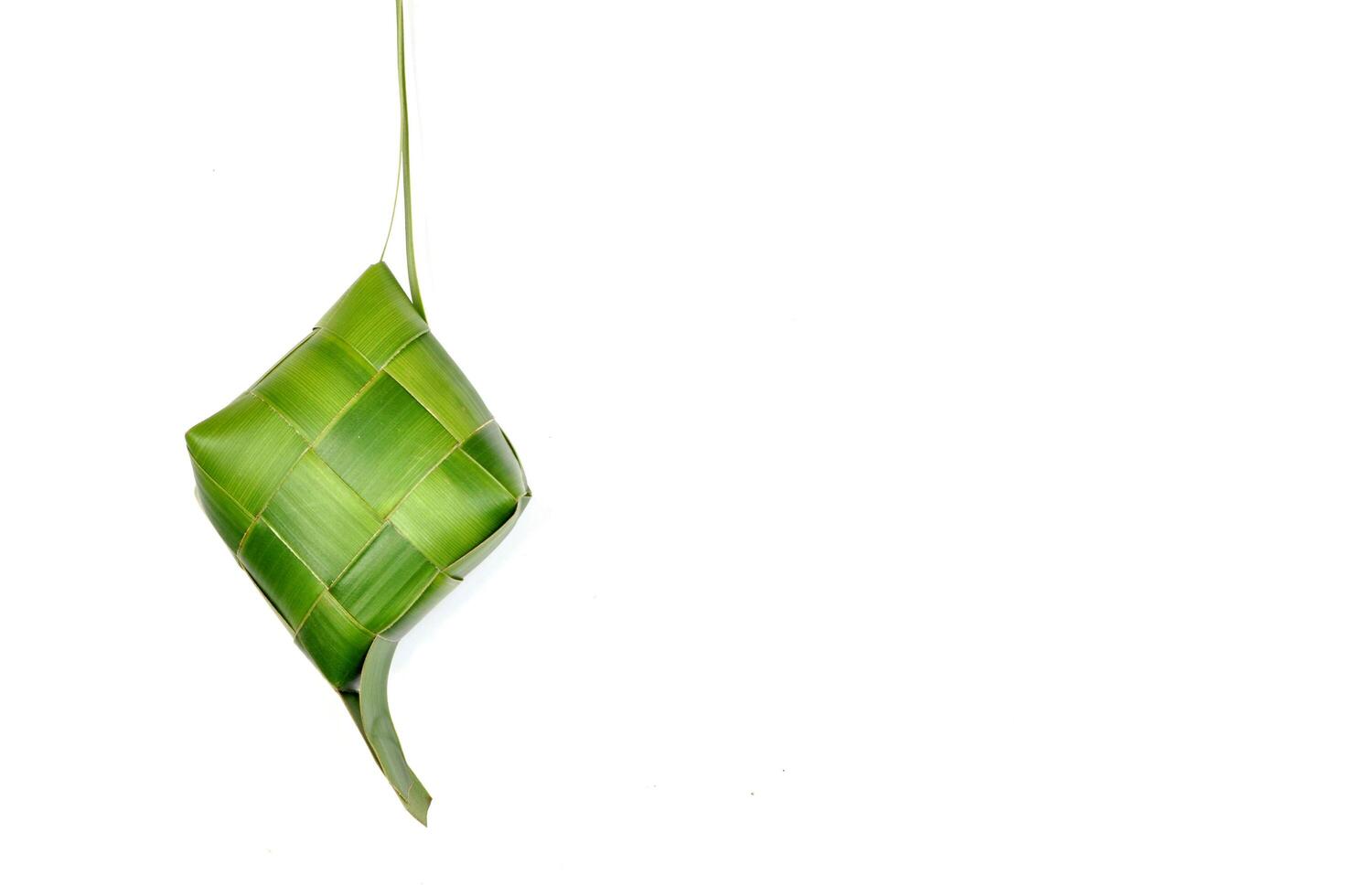 Ketupat a type of dumpling made from rice packed inside photo