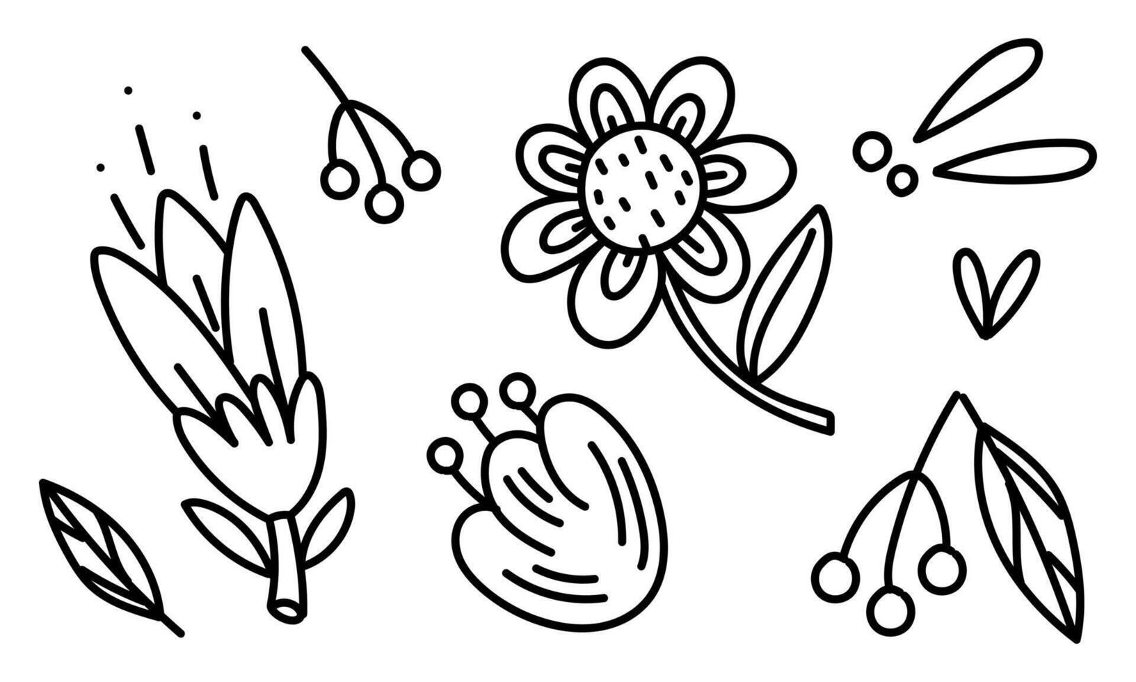 a set of doodle stylized traditional Mexican flowers, leaves, berries. Decorative folk graphics isolated element. a festive Mexican floral motif. illustration. stylized vector