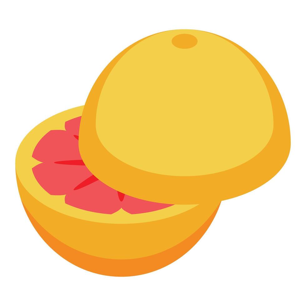 Half grapefruit showing the pulp isometric illustration vector