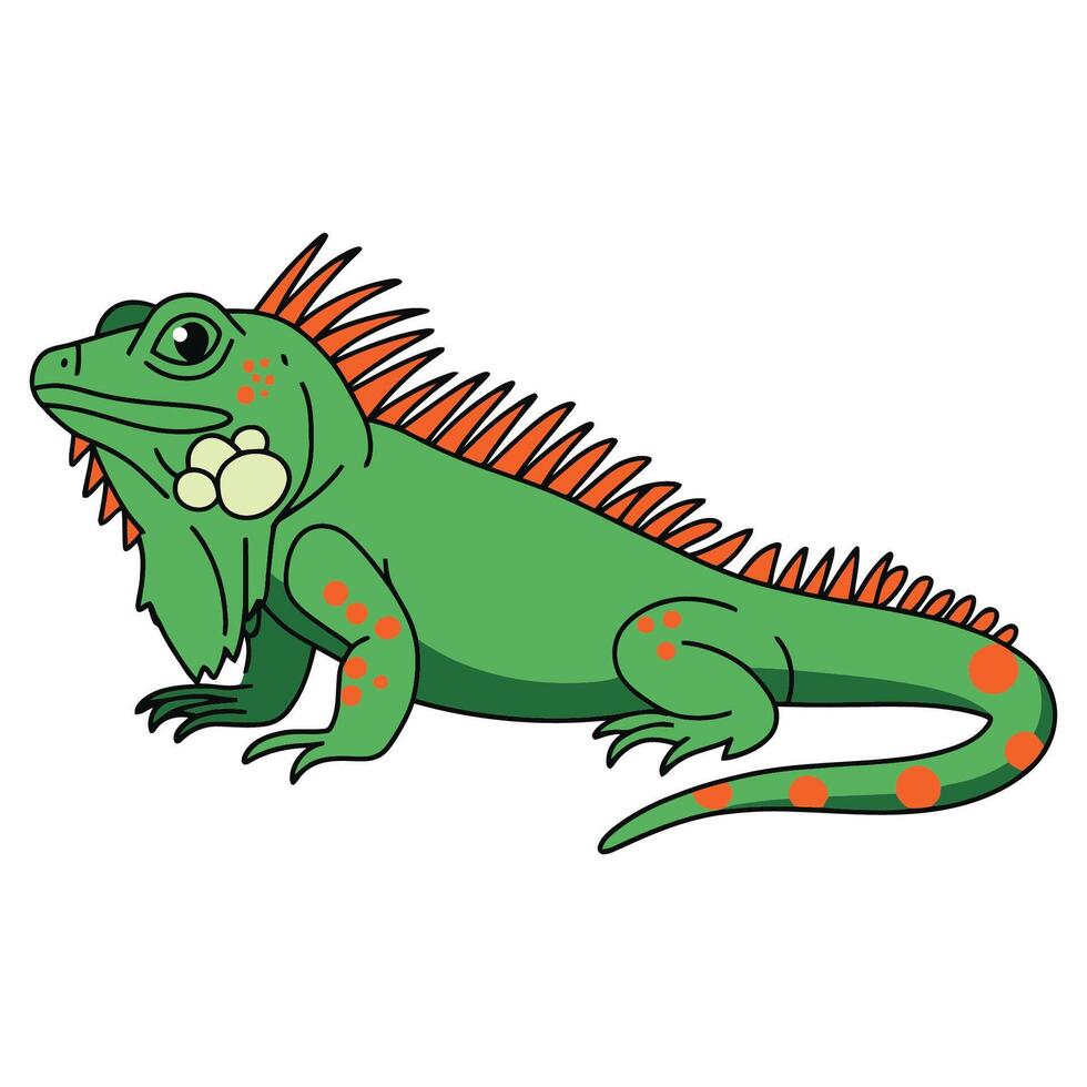 Green iguana illustration vector