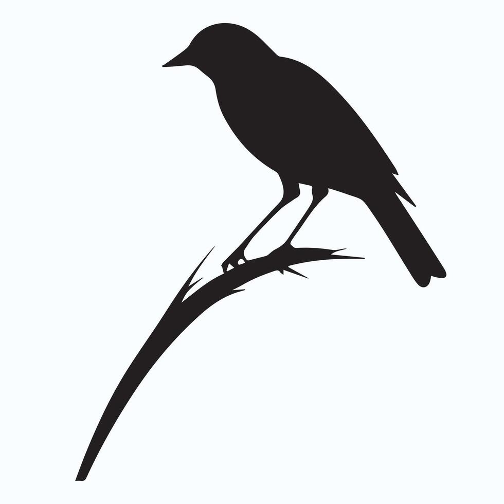 bird silhouette image vector