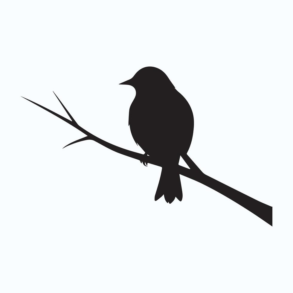 bird illustration silhouette vector