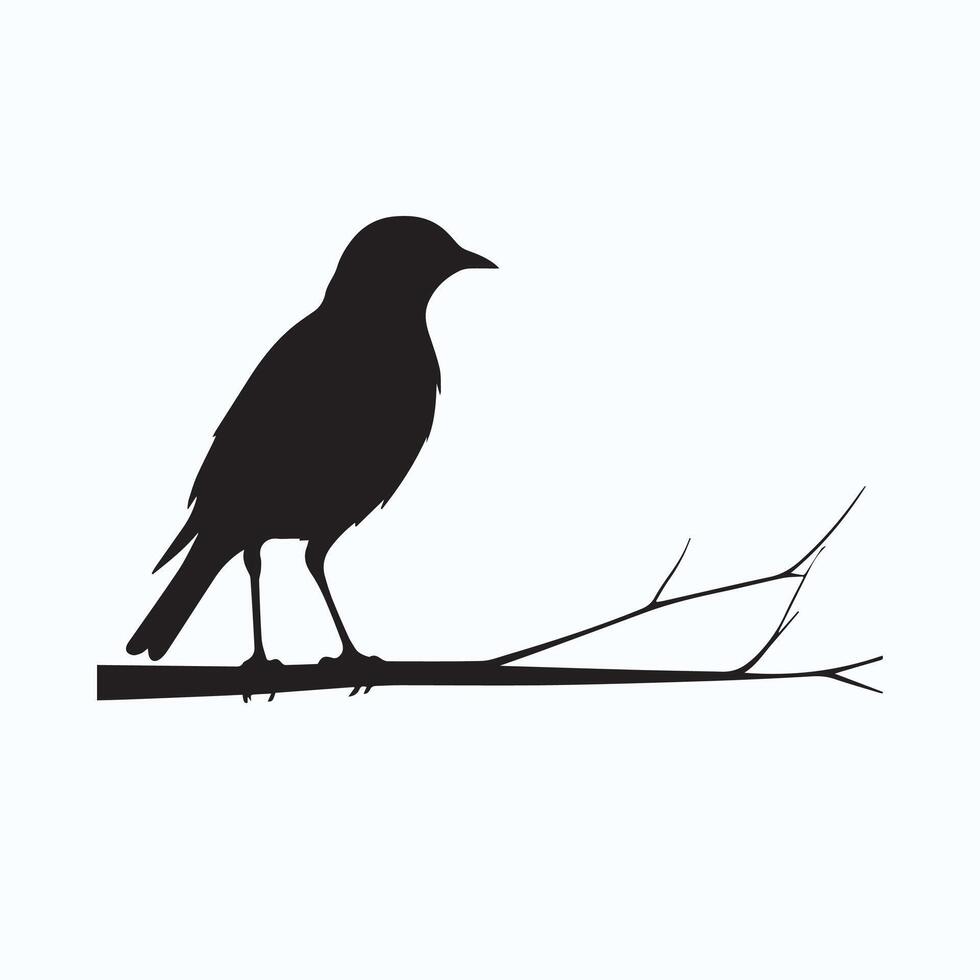 cute bird silhouette icons vector