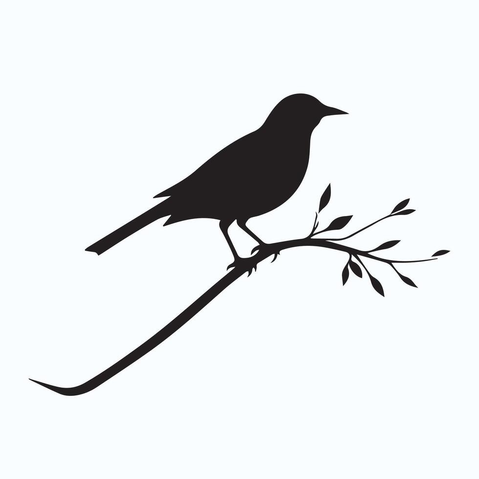 bird shadow silhouette vector