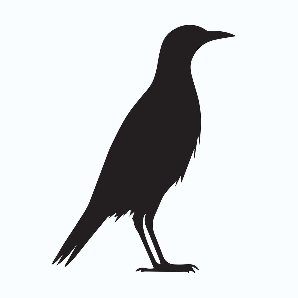 Elegant bird silhouette icons vector