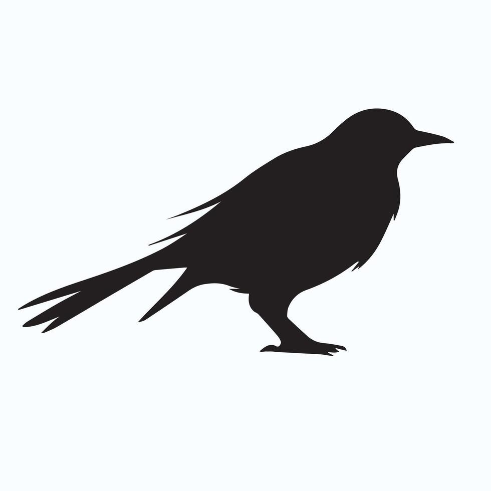 Little bird Black silhouette icons vector