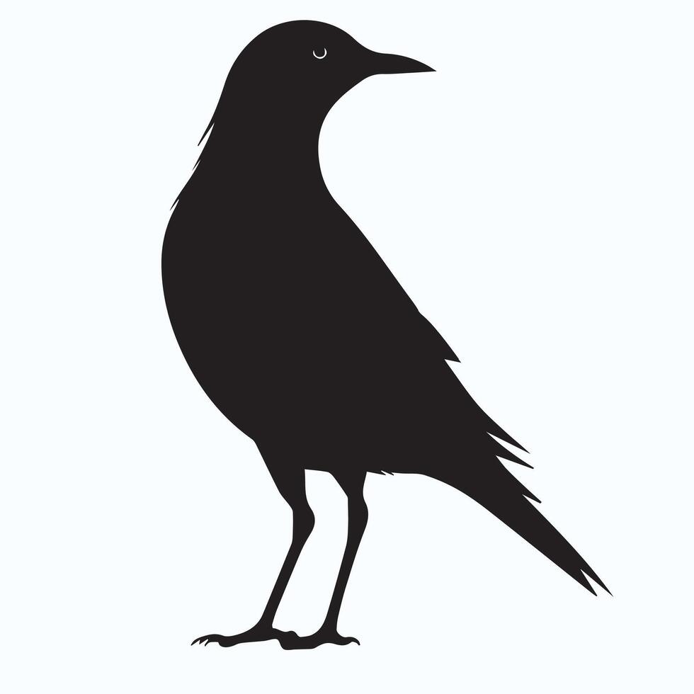 Bird silhouette decoration vector