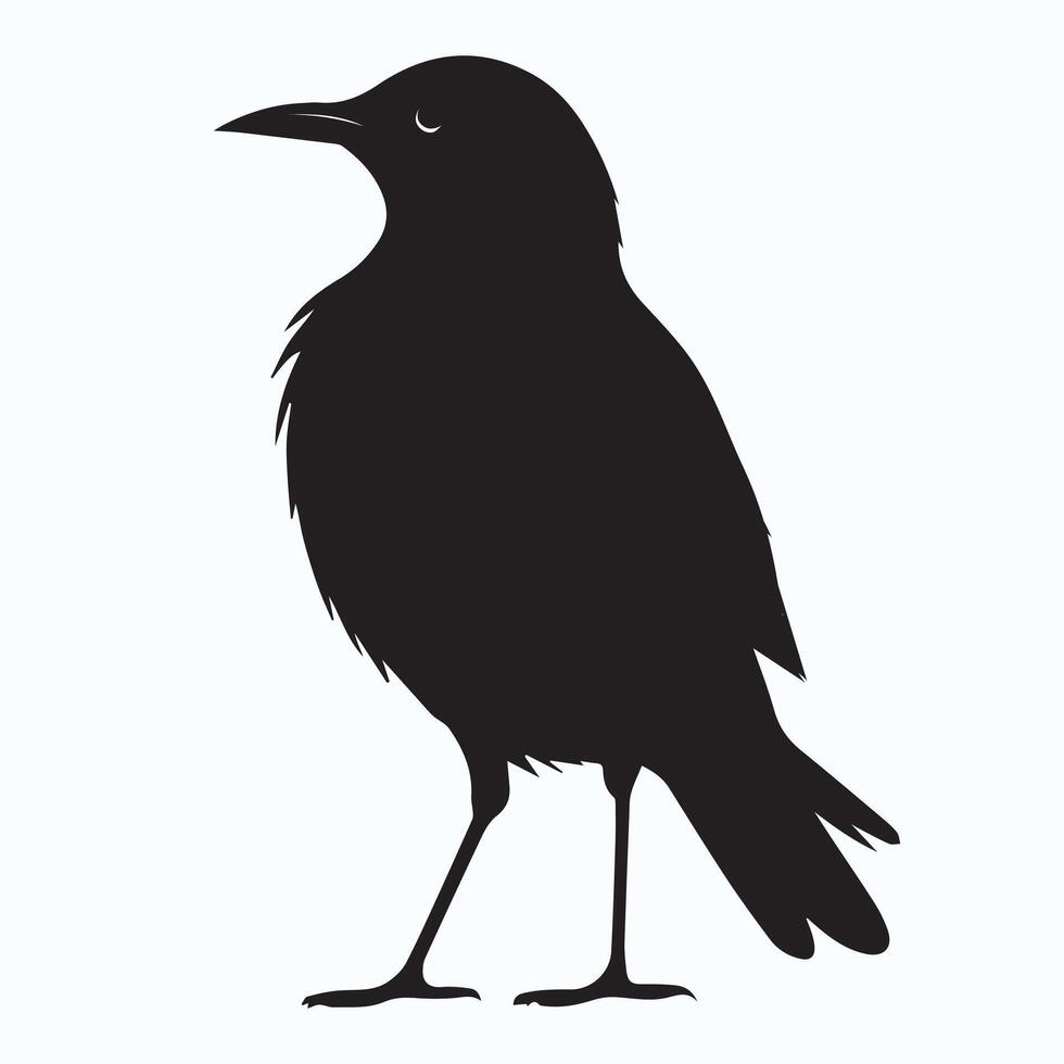 bird silhouette icons vector