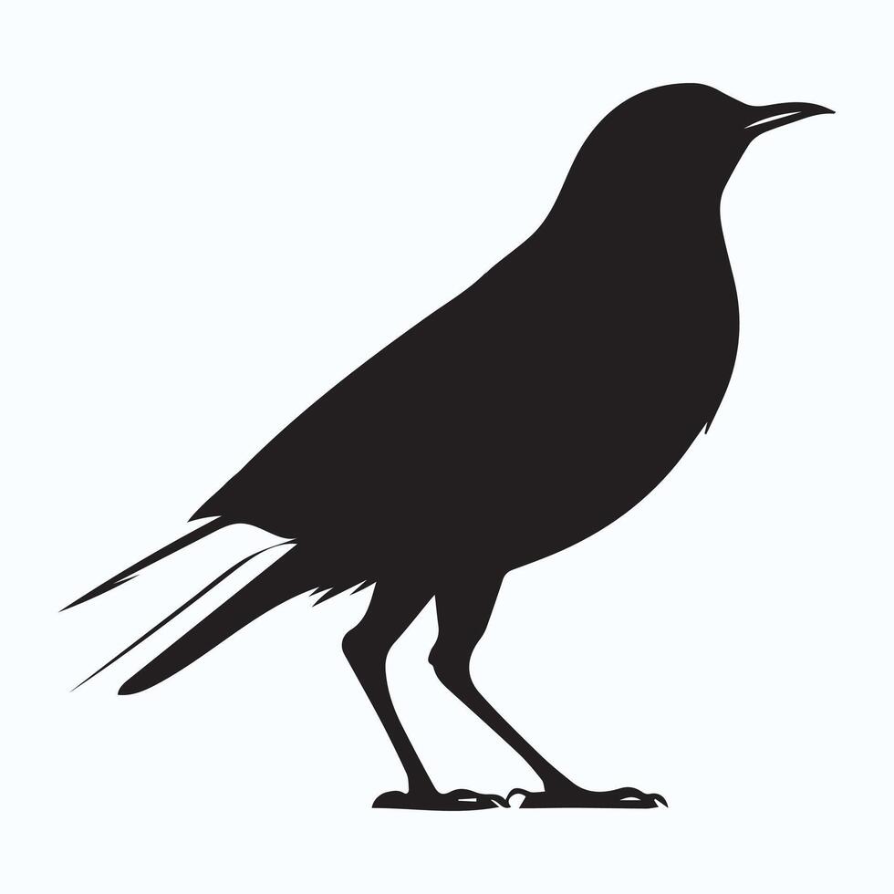 bird silhouette icons vector