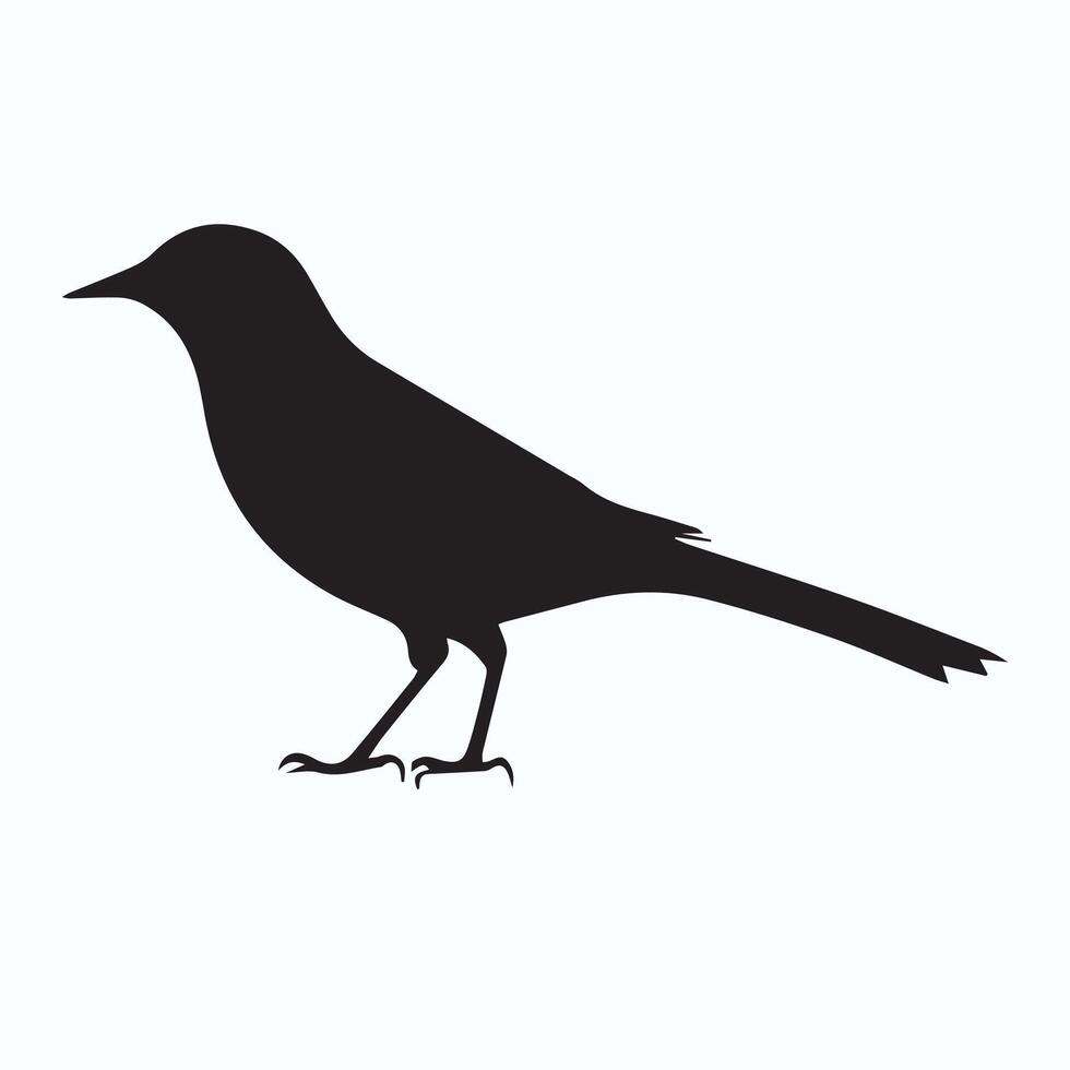 Bird silhouette poster vector