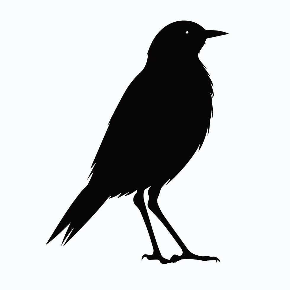 Bird silhouette digital art vector