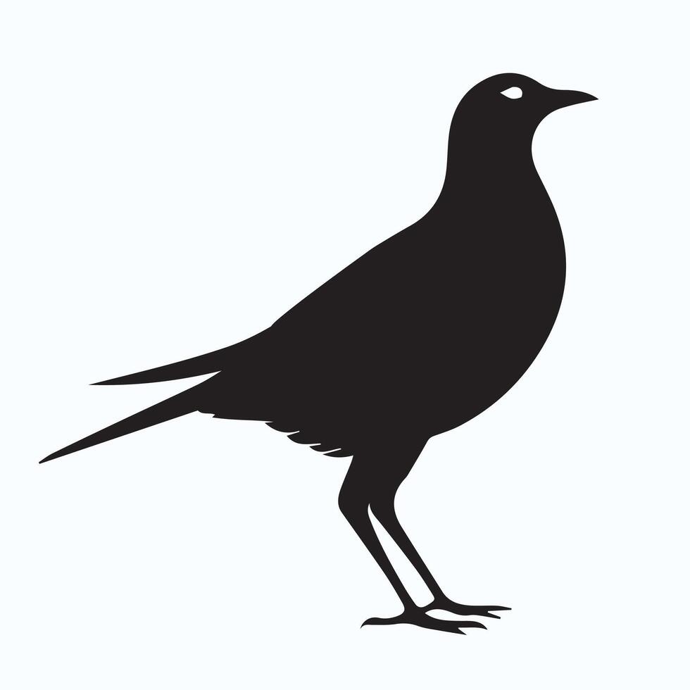 Bird silhouette art print vector