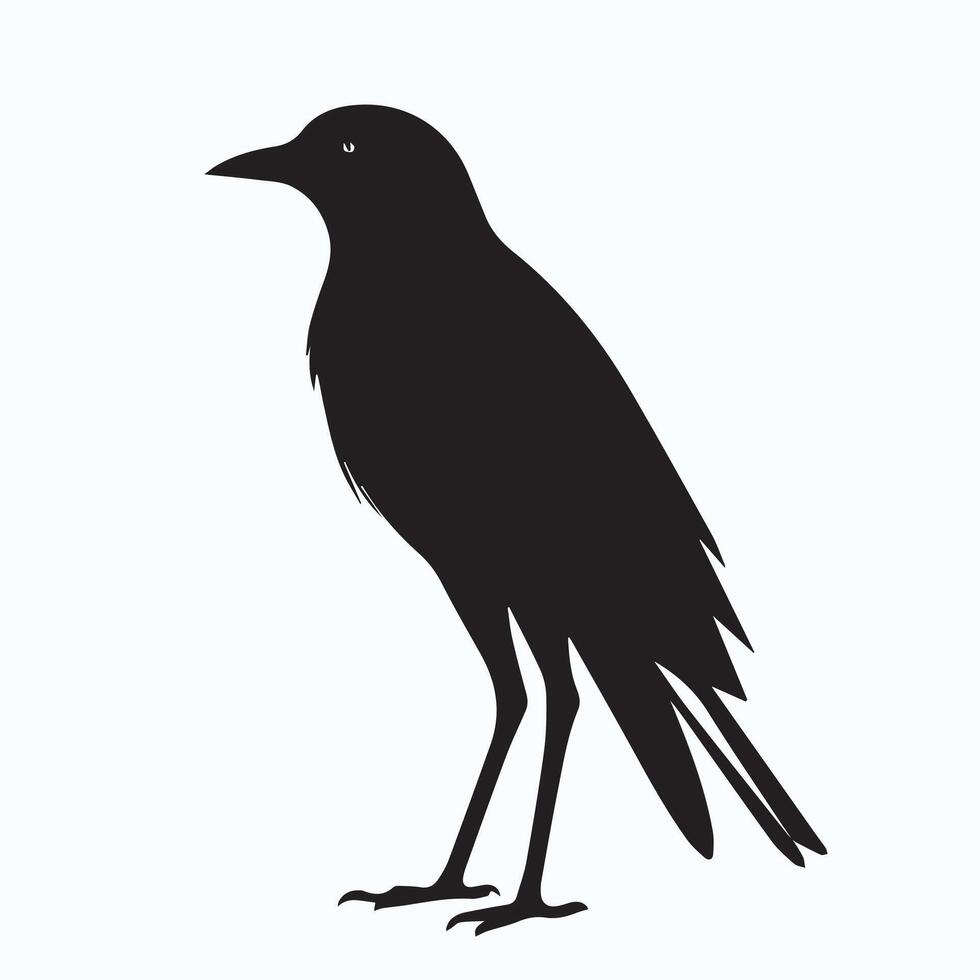 Bird silhouette black and white vector
