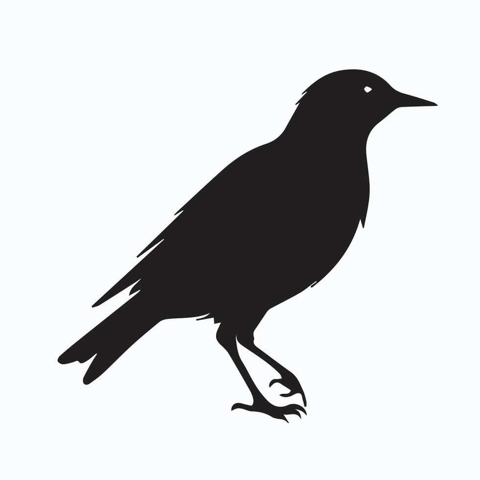 Bird silhouette graphics vector