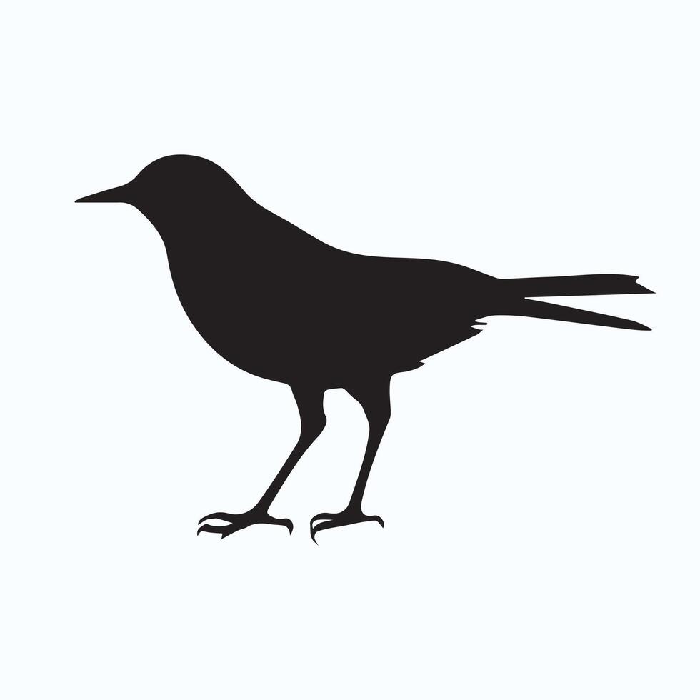 Bird silhouette decoration vector