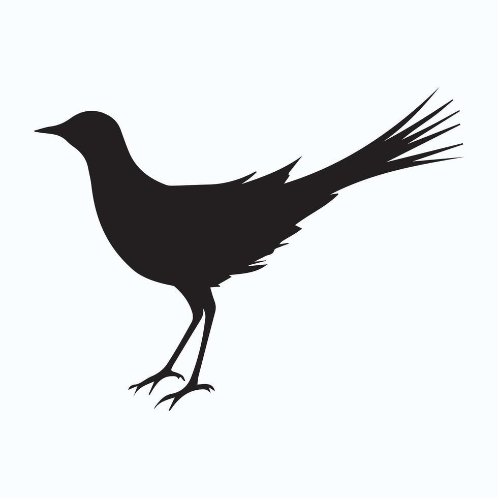 beautiful bird silhouette icons vector