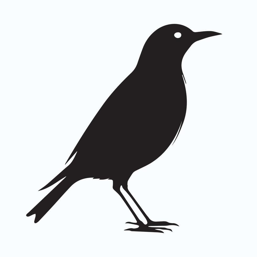 Bird silhouette drawing vector