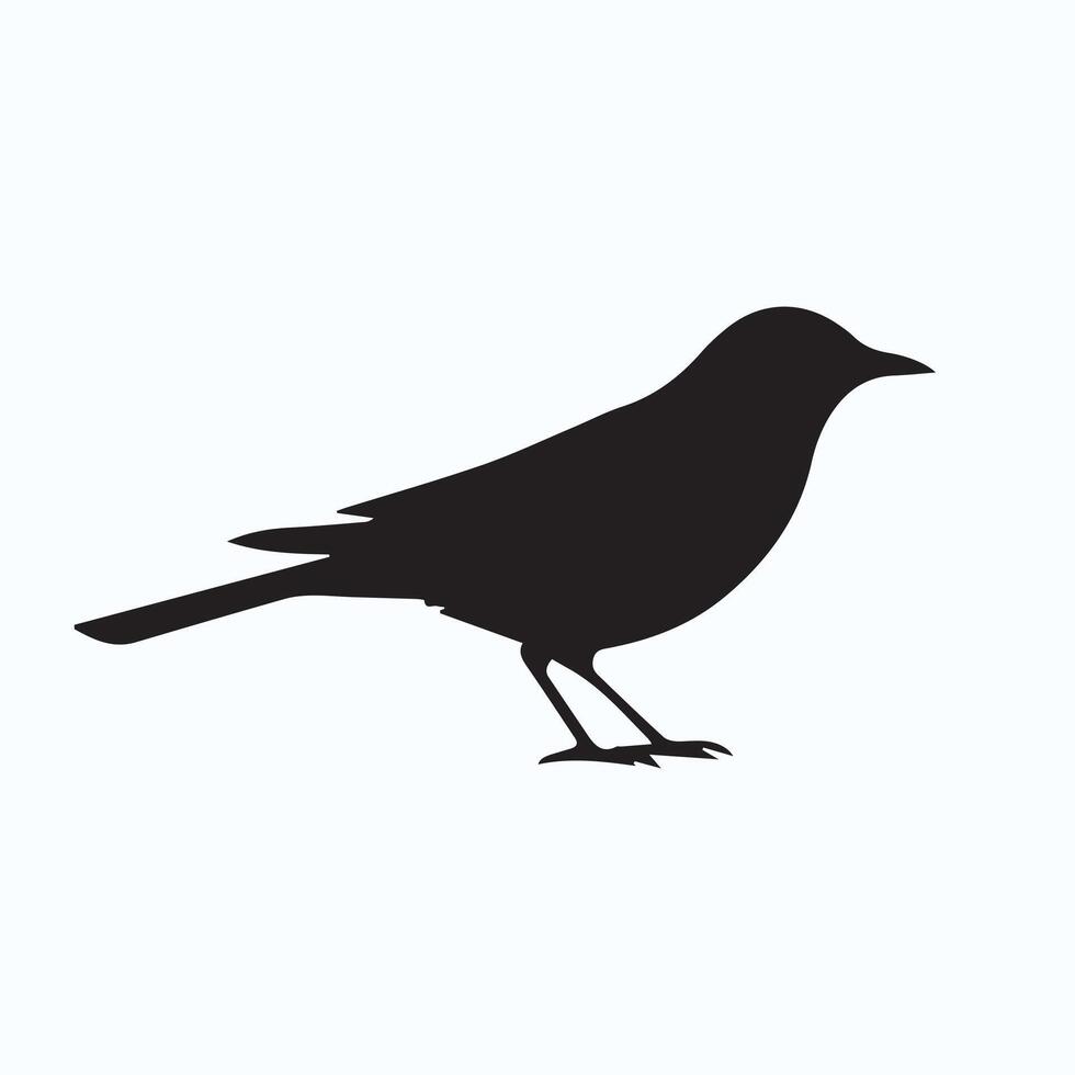 Bird silhouette custom vector