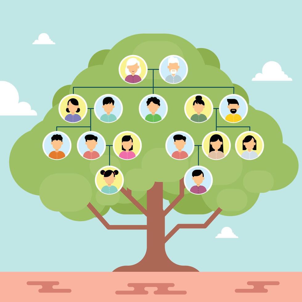 Family tree chart with human avatars of three generation vector