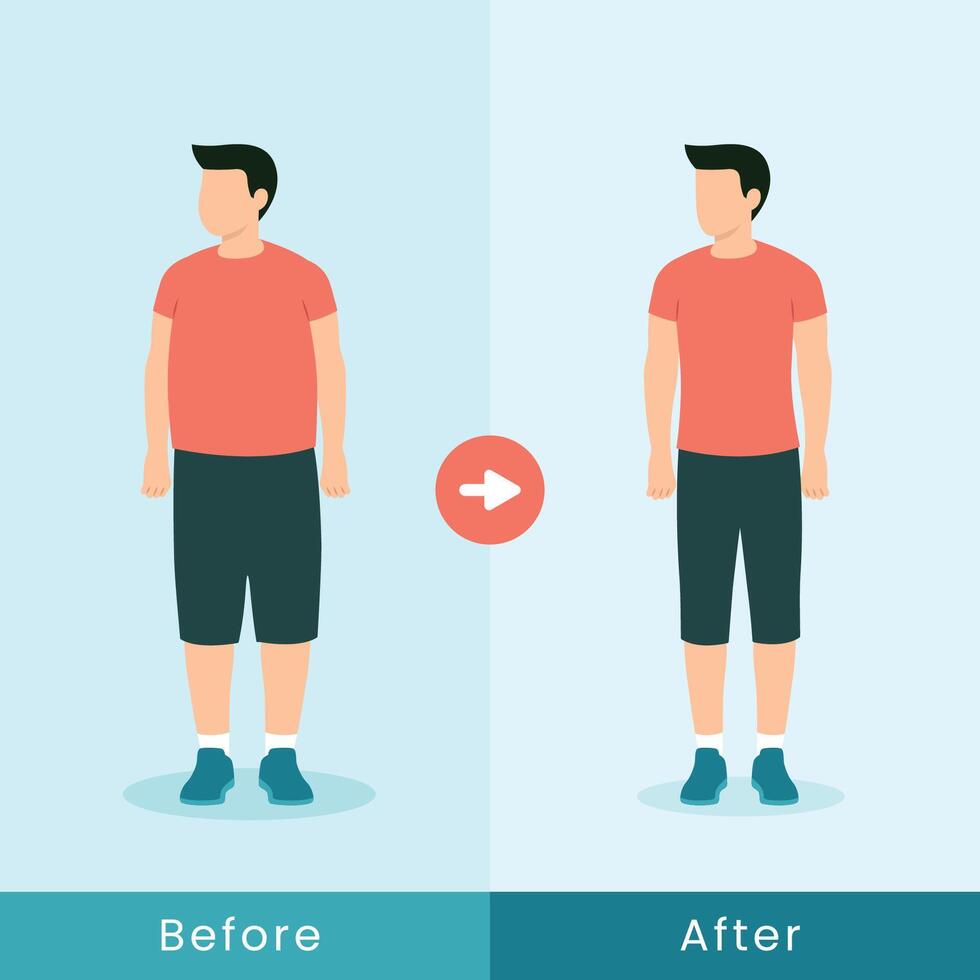Man with overweight body and normal slim figure vector