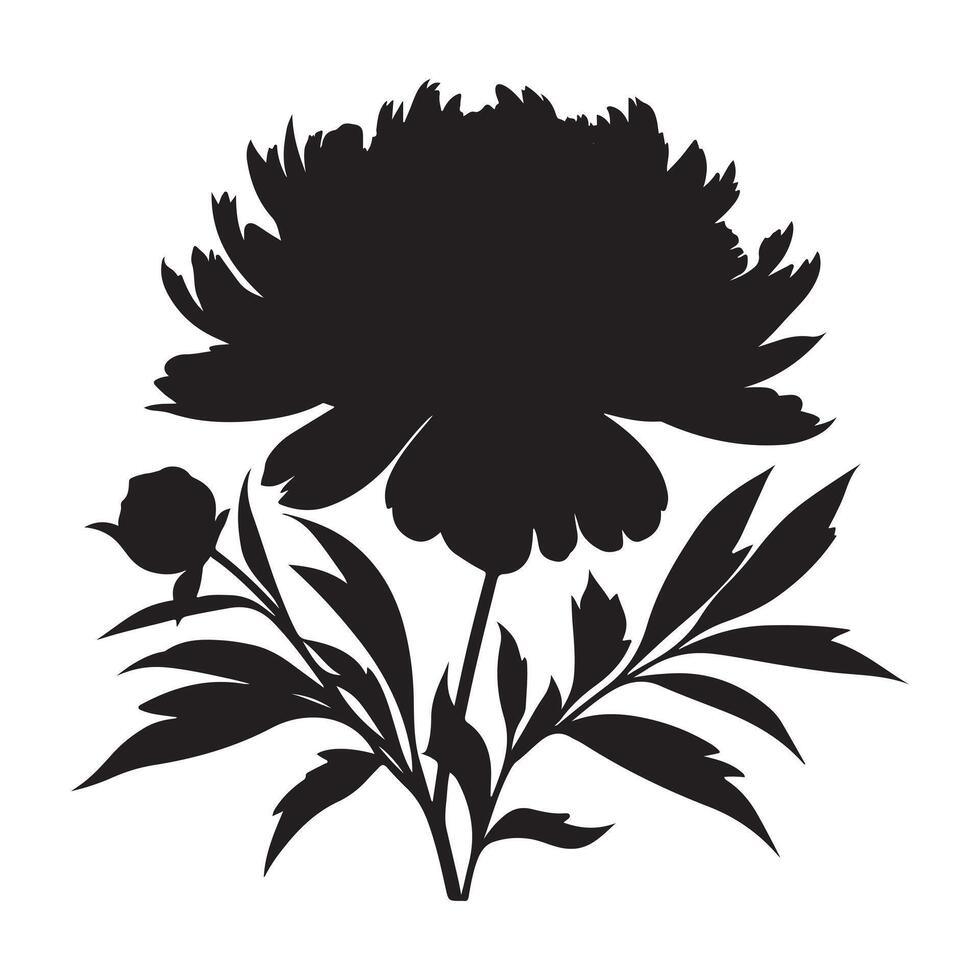 Peonie flower silhouette with white background vector