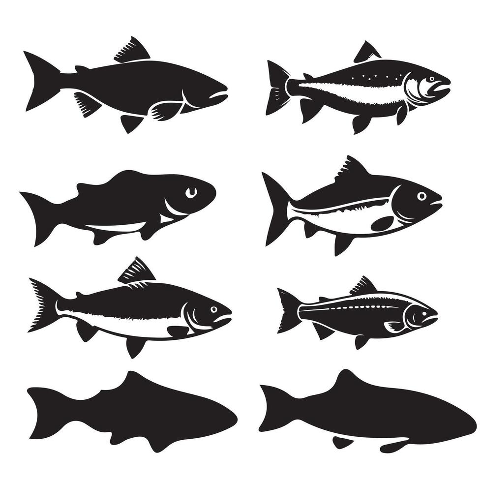 Silhouettes of salmon fish set with white background vector