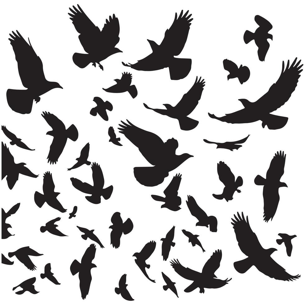 Silhouette of a flock of birds flying with white background vector