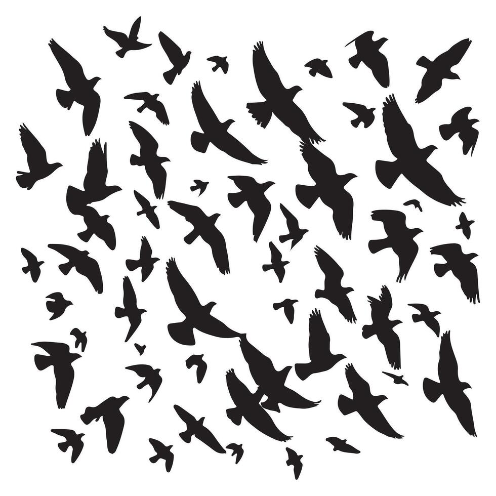 Silhouette of a flock of birds flying with white background vector