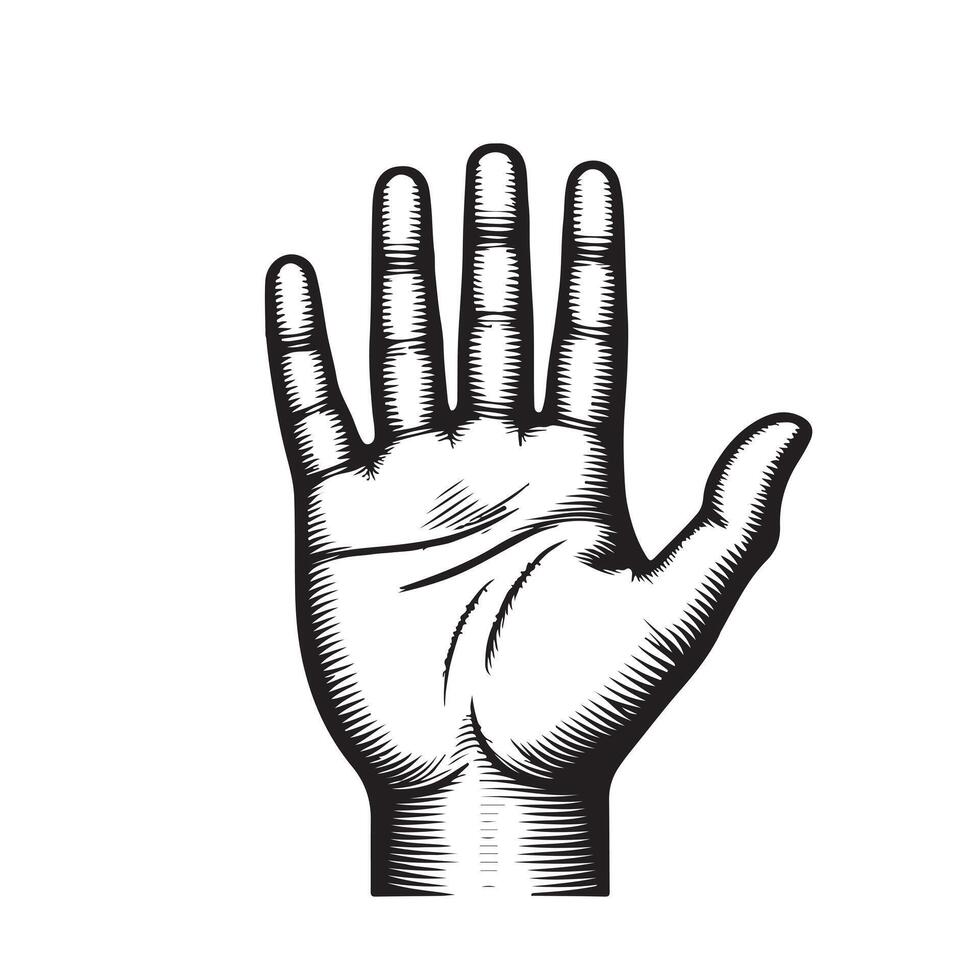 Hand palm outline image with white background vector