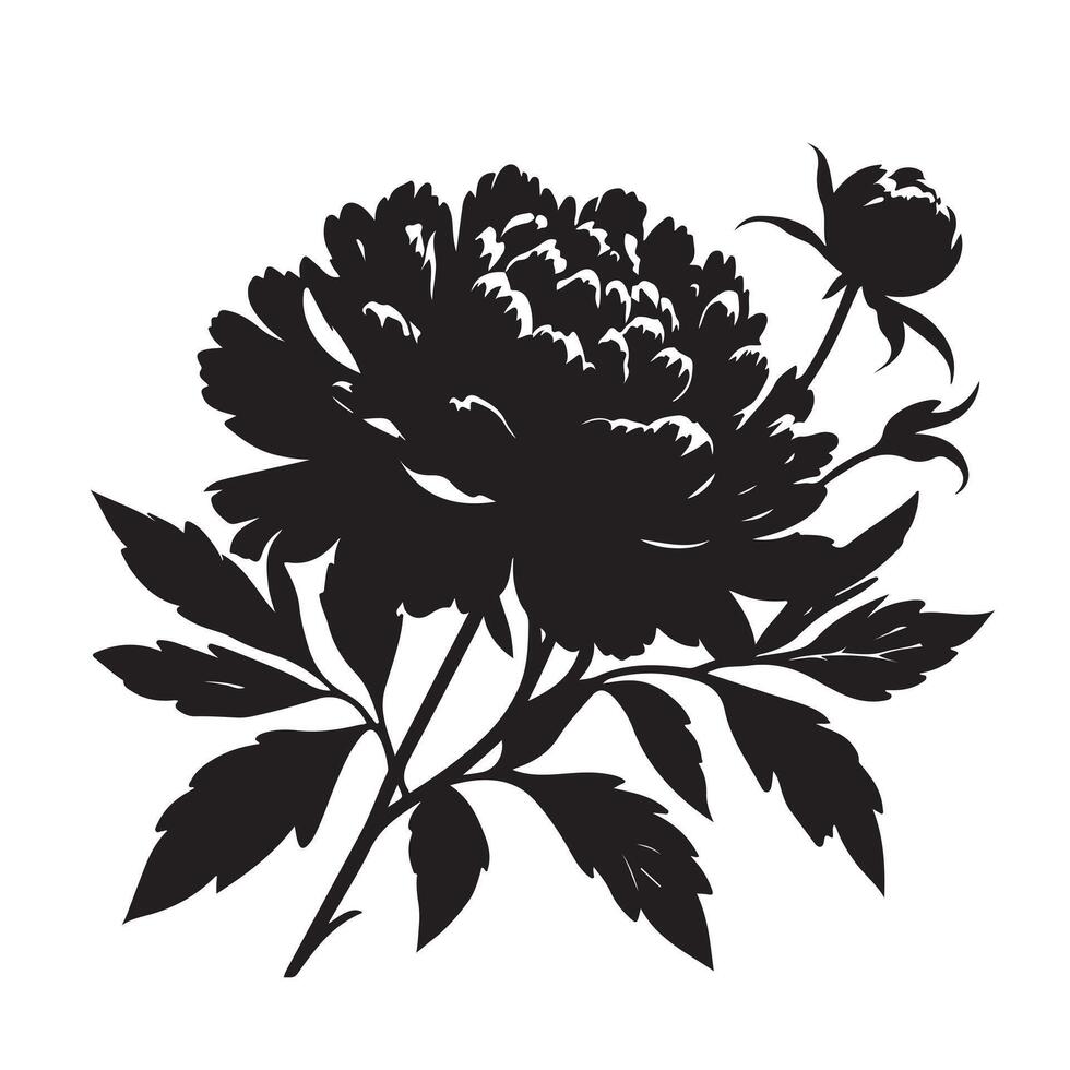 Peonie flower silhouette with white background vector
