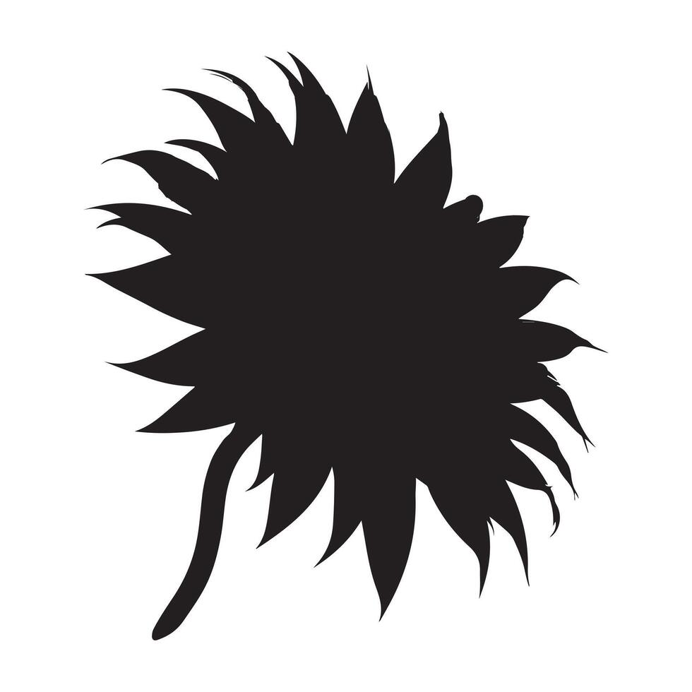 black Sunflower with white background vector