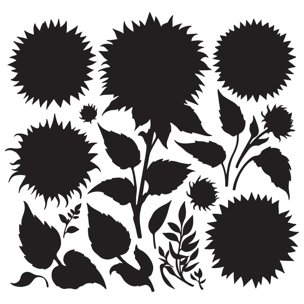 black Sunflower set with white background vector