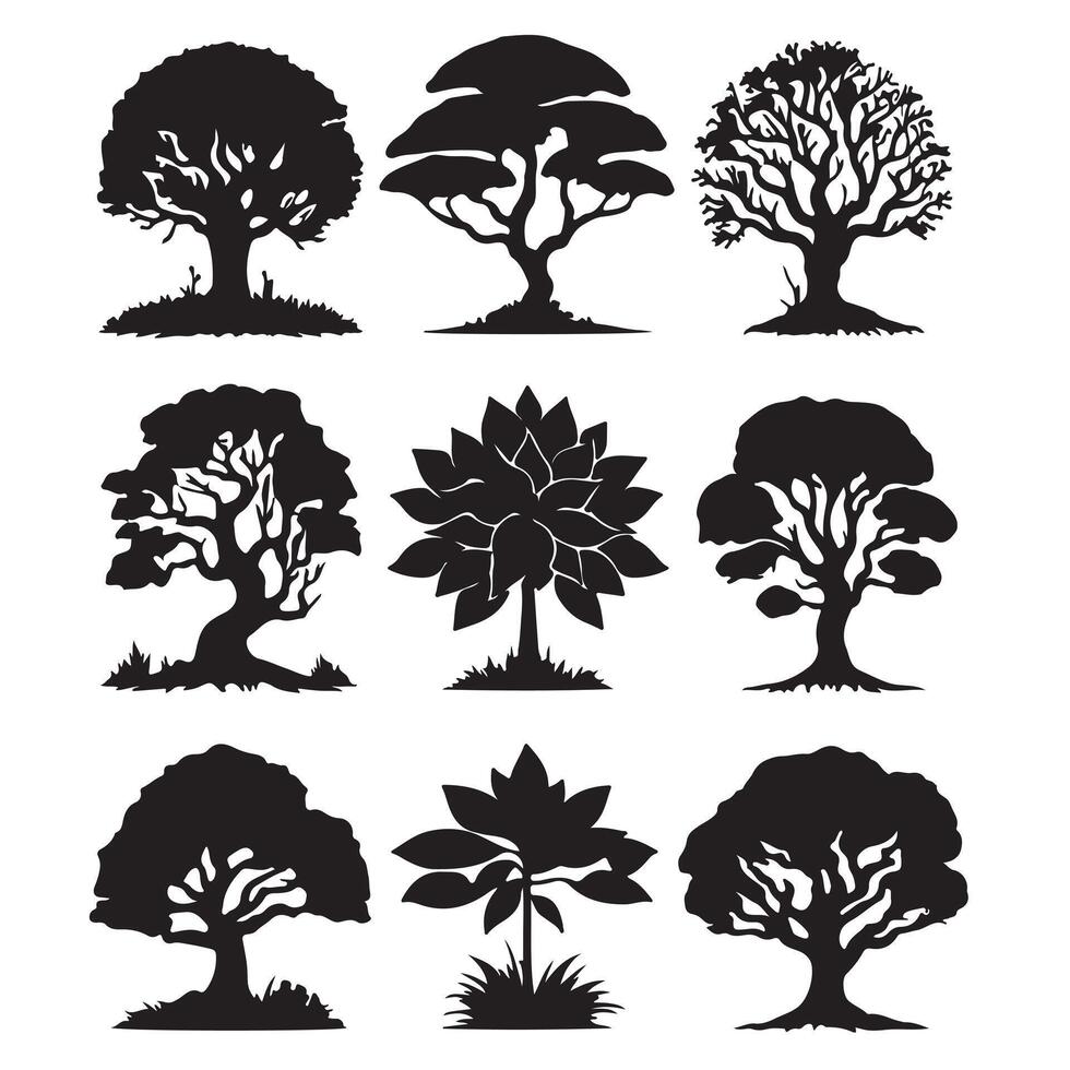 various deciduous trees silhouettes on the white background vector