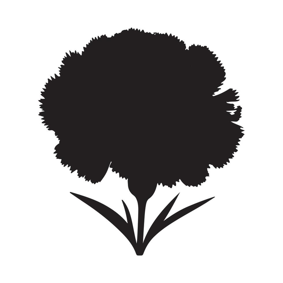 black Carnation flower silhouette with white background vector