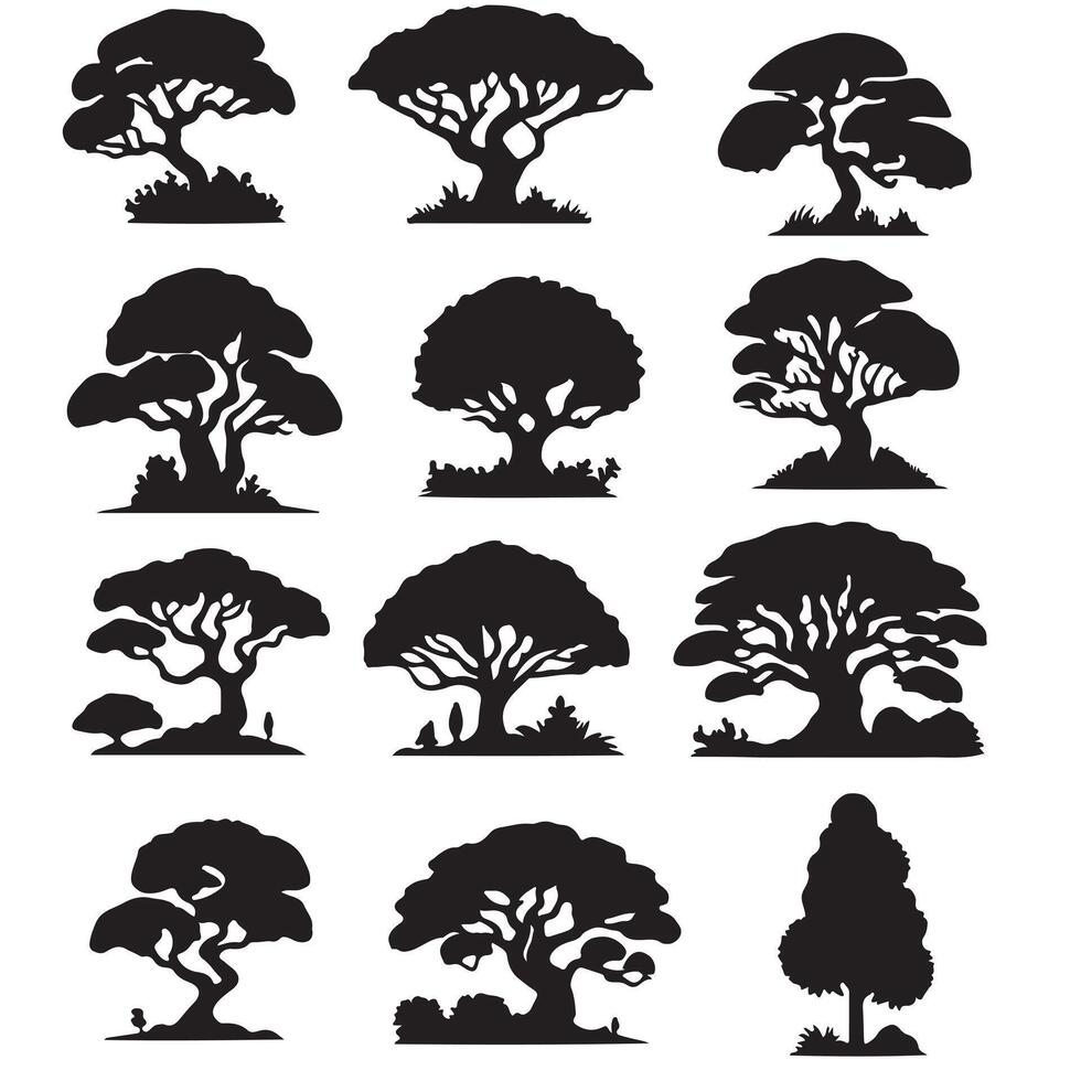 various deciduous trees silhouettes on the white background vector