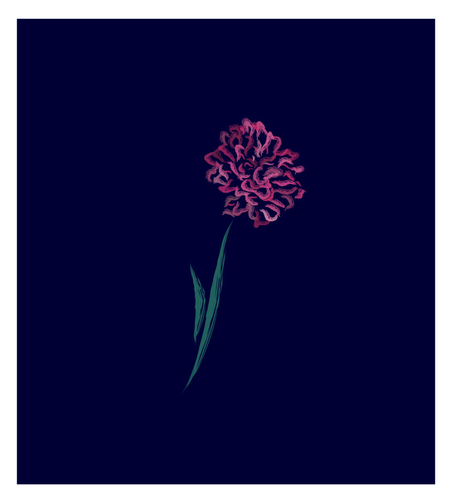 pink flower drawing png