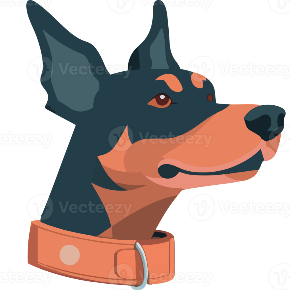 A doberman dog wearing a collar png
