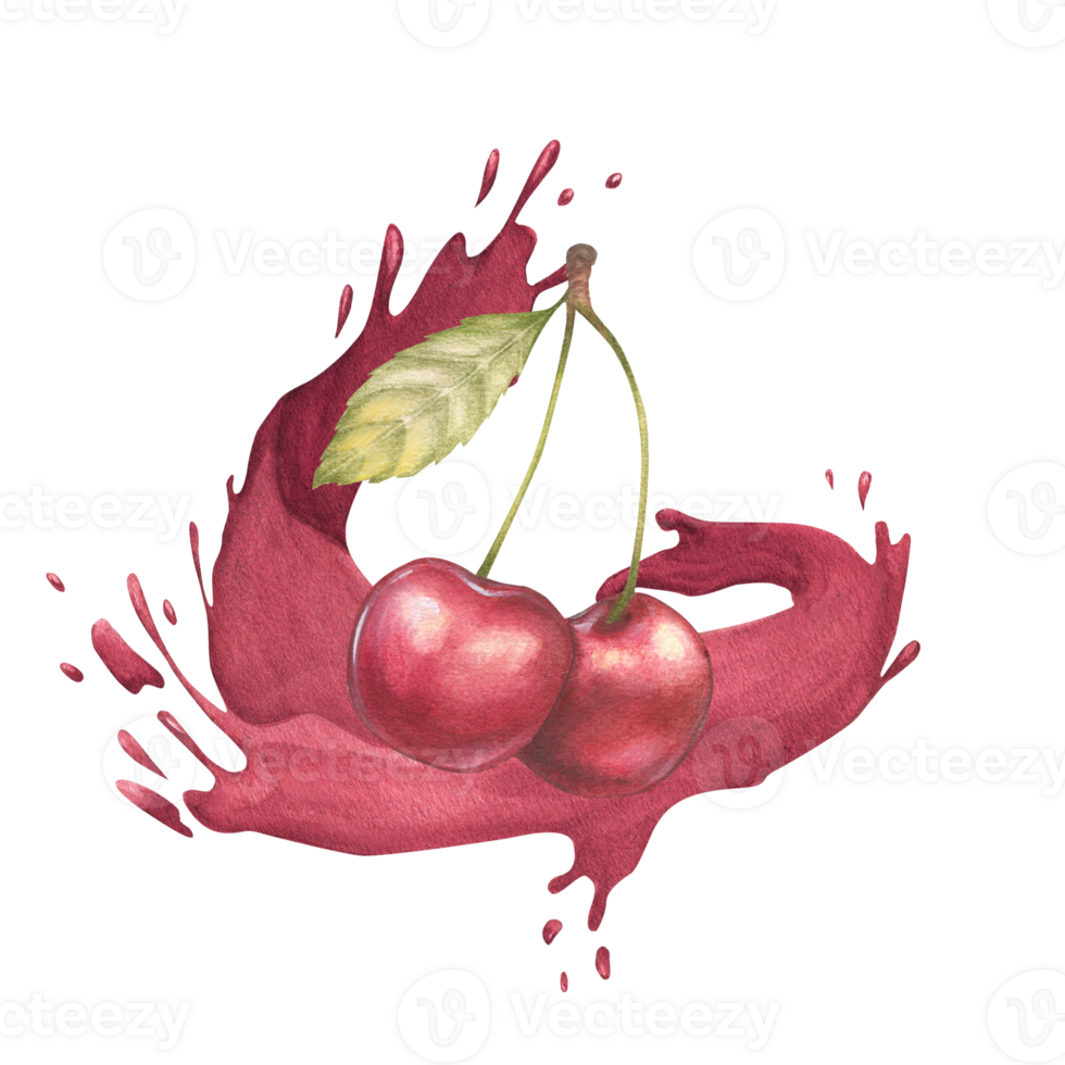 Watercolor illustration of a cherry or sweet cherry on a branch with splashes of red cherry juice. Food, botanical hand drawn illustration. Isolated. png